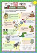 Animal Idioms used every day (3) for elementary/ lower intermediate ...