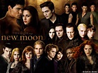 New Moon (1600x1200) - Twilight Series Wallpaper (8686693) - Fanpop ...