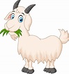 Premium Vector | Cartoon goat eating grass