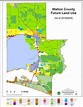 Walton County Gis Map - Cities And Towns Map