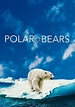 Polar Bears - película: Ver online completas en español