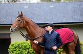 Aidan O’Brien: the man, his methods, his beliefs, the Derby and his horses