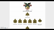 US Military Academies Rank Insignia - YouTube