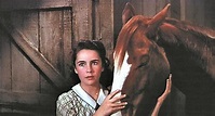 8 Facts You Didn't Know About the National Velvet Movie