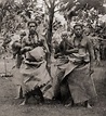Samoan Chiefs - 1870s | Samoan Islands, Apia, Chiefs (1870s)… | Flickr