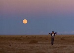 The Legacy of Terrence Malick's 'Badlands'