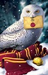 Hedwig by Atropicus on DeviantArt | Harry potter painting, Harry potter ...