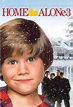 Home Alone 3 (1997) Online Kijken - ikwilfilmskijken.com