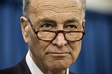 Senator Chuck Schumer: "We Say to Republicans Who Want to Privatize ...