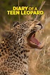 Diary of a Teen Leopard (película 2020) - Tráiler. resumen, reparto y ...