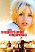 The Sugarland Express (1974) - Posters — The Movie Database (TMDB)