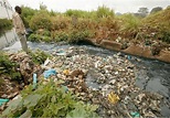 ‘Dumping Waste On Wetlands, Cause of Natural Disasters In Cameroon ...