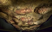 Visita las Cuevas de Altamira: un lugar lleno de historia en el corazón ...