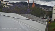 Ritz Madeira Live Webcam, Avenida Arriaga, Funchal, Madeira Island ...