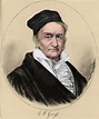 Carl Friedrich Gauss, German Mathematician Poster Print by Science ...