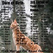 Male warrior cat name generator | Warrior cat names, Warrior cats name ...