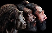 White Skin Developed in Europe Only As Recently as 8,000 Years Ago Say ...