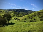 Rolling Hills of Channel Islands National Park California United States ...