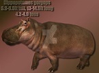 Hippopotamus gorgops Profile by YappArtiste on DeviantArt