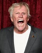 Gary Busey “Tell me that doesn’t look like Nick Nolte’s mug shot with a ...