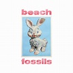 Bunny – Beach Fossils | Monorail Music
