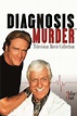 ‎Diagnosis Murder: Diagnosis of Murder (1992) directed by Christopher ...