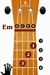 Basic Ukulele Chords For Beginners - Know Your Instrument