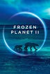 Frozen Planet II (TV Mini Series 2022–2023) - IMDb