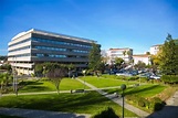 Universidade Católica Portuguesa: referência mundial