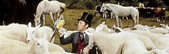 Il favoloso dottor Dolittle (1967) - Streaming | FilmTV.it