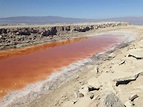 Crisis looming at the Salton Sea | Audubon California