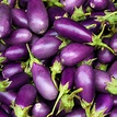 Eggplant – Wickedfood