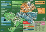 Séjour Zoo de Beauval - 1 ou 2 Jours - Astuces, Avis & Guide de Visite 2023