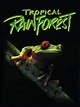 Tropical Rainforest - Movie Reviews
