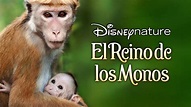 Ver El reino de los monos | Película completa | Disney+