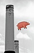 Pink Floyd Pig at Battersea Photograph by Dawn OConnor