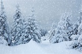 How Snowy Will This Winter Be? - High Country Weather