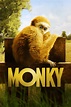 Monky (2017) - Posters — The Movie Database (TMDb)
