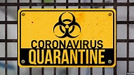 21 things to help you stay on track during the COVID19 quarantine - THE ...