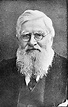 Darwin, sus obras, aportaciones, y aportes de Wallace timeline | Timet
