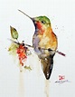 HUMMINGBIRD on BRANCH Original Watercolor Painting by Dean - Etsy ...