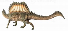 spinosaurus, dinosaurio sobre fondo blanco. 8844459 PNG
