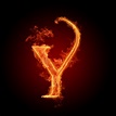 The letter Y - The Alphabet Photo (22187644) - Fanpop