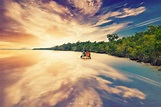 Sundarban Delta And Their Top 13 Interesting Facts | Sundarban Jungle ...