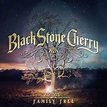 Black Stone Cherry estrenan «Bad Habit» – portALTERNATIVO