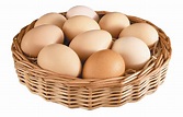 Collection of Egg PNG. | PlusPNG