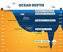 Ocean depth zones infographic, vector illustration labeled diagram ...