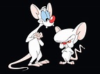 11 Pinky And The Brain HD Wallpapers | Background Images - Wallpaper Abyss