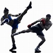 Kickboxing - Martial Arts MK