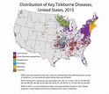 26 Rocky Mountain Spotted Fever Map - Online Map Around The World